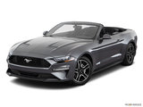 New 2019 Ford Mustang in East TX Lakes Area